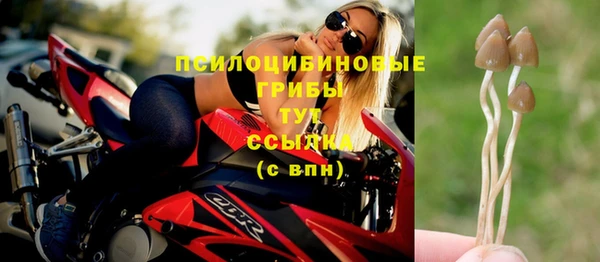 метадон Инсар
