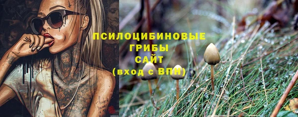 эйфоретик Инта
