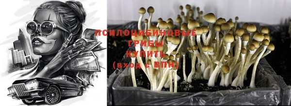 эйфоретик Инта