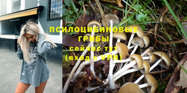 метадон Инсар