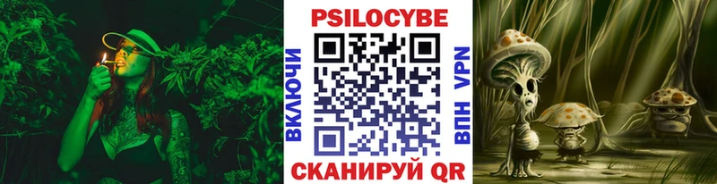 Псилоцибиновые грибы мухоморы  Купить где  Гай 
