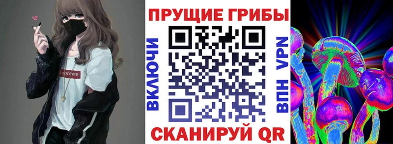 Псилоцибиновые грибы Psilocybine cubensis Гай